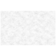 Обои OVK Design New Look 10361-01 , винил на флизелине, 10,05 х 1,06 м