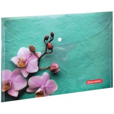 BRAUBERG Папка-конверт с кнопкой Flower А4, пластик бирюзовый
