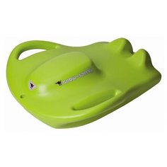 Ледянка BIG Speedy (56755) салатовый