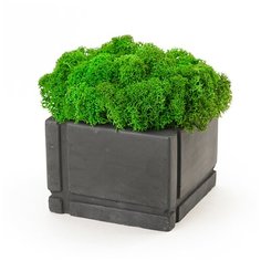 Кашпо бетонное со мхом Квадрат, антрацит, OKTAUR