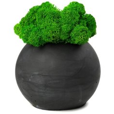 Кашпо бетонное со мхом (сфера-цирконмох зеленый) Oktaur