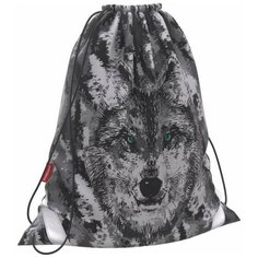 ErichKrause Мешок для обуви Wolf (46183) черный