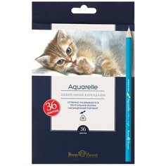 Карандаши цветные акварельные Bruno Visconti "Aquarelle", 36 цветов (30-0049)