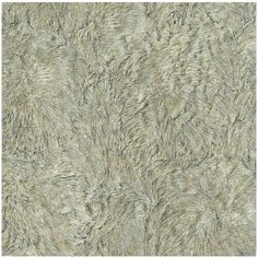 Обои Roberto Cavalli №5 16048 , винил на флизелине, 10,05 х 0,70 м