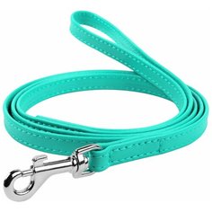 Поводок для собак COLLAR Glamour ментоловый 1.22 м 12 мм