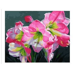 Картина по номерам Розовые лилии Paintboy