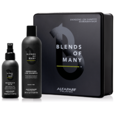 Alfaparf Подарочный набор SBOM GIFT BOX 2019 (Шампунь муж.250 мл/Несмываемый бальзам для бороды и кожи 100 мл)