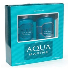 Набор косметический парфюмерный для мужчин Aqua Marine (шампунь 250 мл + гель для душа 250 мл) Festiva