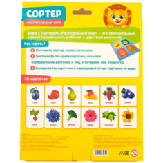 Сортер «Растительный мир» с карточками Домана Iq Zabiaka