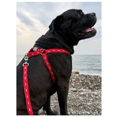 Поводок-стропа светоотражающий "АнтиСрыв" из особо прочного нейлона с механизмом защиты от срыва на карабине. Красный. Размер М (открытая упаковка) Japan Premium Pet