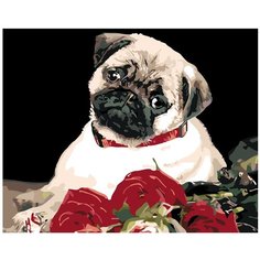 Мопс с розами Раскраска картина по номерам на холсте KTMK-78528 40х50