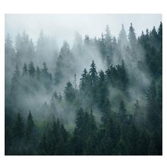 Фотообои 3D "Туман в хвойном лесу" 300x270 (ШхВ)