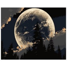 Картина по номерам Цветной "Сказочная луна", 40x50 см