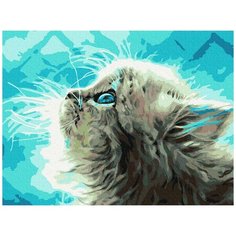 Картина по номерам "Пушистый котенок", 30x40 см Molly