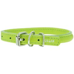 Ошейник COLLAR Glamour круглый 2240 20-25 см зеленый