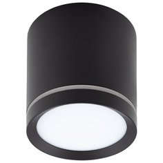 DK4013-BK Светильник накладной IP 20, 5 Вт, LED 4000, черный, алюминий/акрил Denkirs