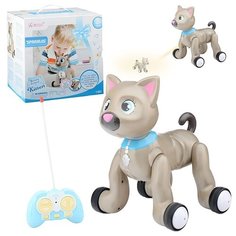 Интерактивная игрушка Oubaoloon Кошка, р/у, 27 MHz, с проектором, звук, в коробке (1040A)