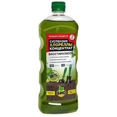 Удобрение БИО-комплекс Суспензия хлореллы концентрат, 1 л