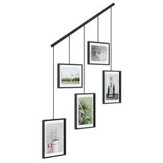 Держатель для фото Umbra Exhibit 1013426-040 на 5 фото черный