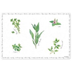 Салфетка под горячее Easy Life Herbarium без инд.упаковки, пластик, 45х30 см (EL-R0550_HERU)