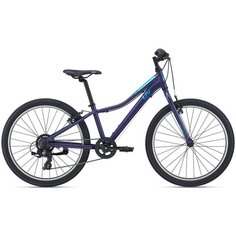 Подростковый велосипед LIV Enchant 24 Lite 2021 , цвет Astral Aura, рама One size