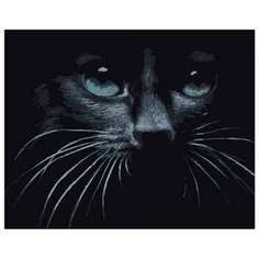 Картина по номерам GX 39178 Черный кот 40*50 Paintboy