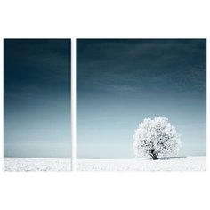 Модульная картина на холсте "Зима в горах" 90x60 см Modulka.Ru