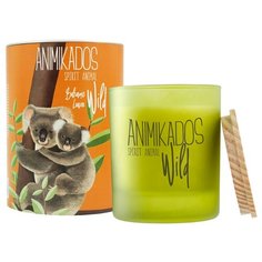 Свеча ароматическая Ambientair Wild Koala Бальзамические листья 40ч