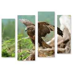 Модульная картина на холсте "Соколиный взгляд" 120x94 см Modulka.Ru