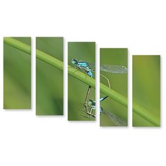 Модульная картина на холсте "Стрекозы" 150x98 см Modulka.Ru