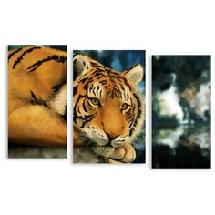 Модульная картина на холсте "Тигрица" 170x109 см Modulka.Ru
