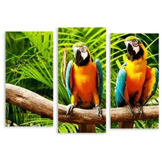 Модульная картина на холсте "Два попугая" 150x110 см Modulka.Ru