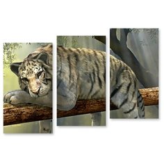 Модульная картина на холсте "Белый тигр" 120x85 см Modulka.Ru