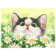 Картина по номерам Paintboy "Котёнок в ромашках", 30x40 см