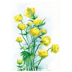 Постер № 35 ДАРИНЧИ