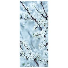 Самоклеящиеся фотообои Doorfix, D037, 95х220см