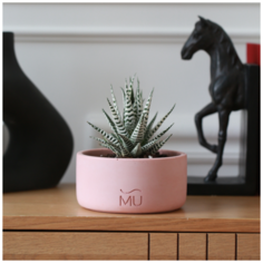 Широкое декоративное кашпо Ernest MUSKO / Экобетон / Розовое