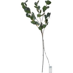 Гирлянда на ветке светодиодная EUCALYPTUS, высота - 90 см, 581-31 Star Trading