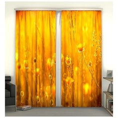 Фотошторы (блэкаут) "Полевые травы", 145*260 см, 2 шт. Сирень