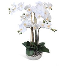 Орхидея Фаленопсис 6 веток в керамическом серебрянном кашпо "Соты" 17-10049/170/1020, цвет: белый Gerard de ros