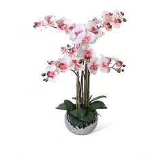 Орхидея Фаленопсис 6 веток в керамическом серебрянном кашпо "Соты" 17-10049/170/1082, цвет: розовая фуксия Gerard de ros