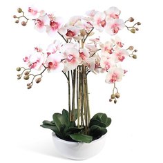 Орхидея Фаленопсис 9 веток в керамическом круглом кашпо 17-10268/010/1082, цвет: розовая фуксия Gerard de ros