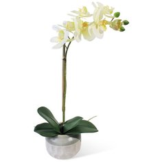 Орхидея Фаленопсис 1 ветка в керамическом кашпо 17-10041/121/1048 Gerard de ros