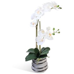 Орхидея Фаленопсис 2 ветки в керамическом серебрянном кашпо 17-10057/170/1020, цвет: белый Gerard de ros