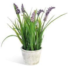 Мускарии в керамическом кашпо 15-757/020/090, цвет: аметистовый Gerard de ros