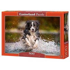 Пазл Castorland 500 "Вкус свободы"