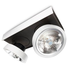 Светильник потолчный Philips Arcitone L281мм 2x30Вт ML111 230В IP20 Белый/Черный 57982/31/16