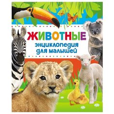 Алексеева Е., Гуричева Е. "Животные. Энциклопедия для малышей" Росмэн