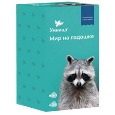 Набор карточек Умница Мир на ладошке. Енот 125 шт.