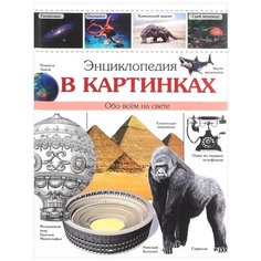 Ларухина И. "Энциклопедия в картинках" Проф Пресс
